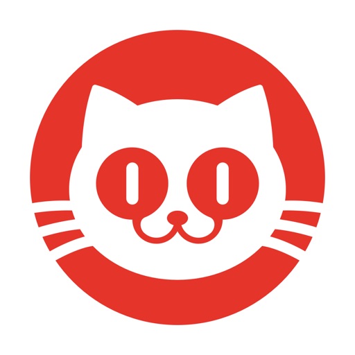 猫眼电影